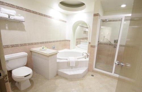 Leon Hotel | Holiday Inn Leon-Convention Center by IHG