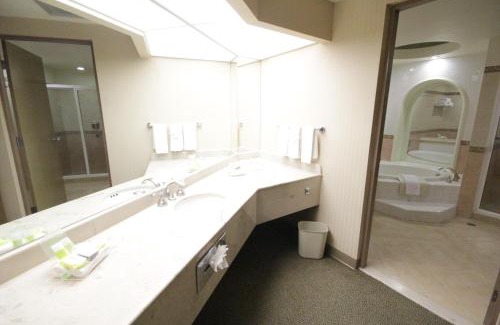 Leon Hotel | Holiday Inn Leon-Convention Center by IHG