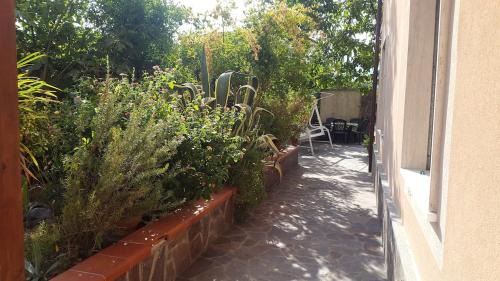 Castelnuovo Cilento Apartment | Holidays in Cilento