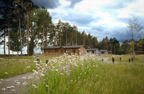 Ryther Cabin | Hollicarrs - Lilypad Lodge