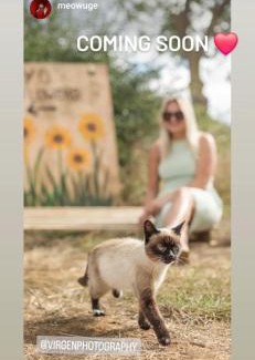 Crick Other | Holly Hut Farm Stay with Hot Tub