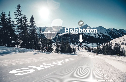 Irdning-Donnersbachtal Apartment | Holzboxen Planneralm in Planneralm