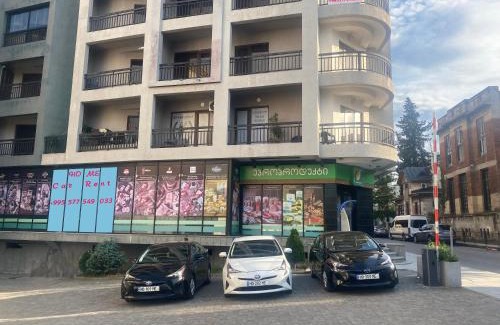 Kutaisi Apartment | Home № 1