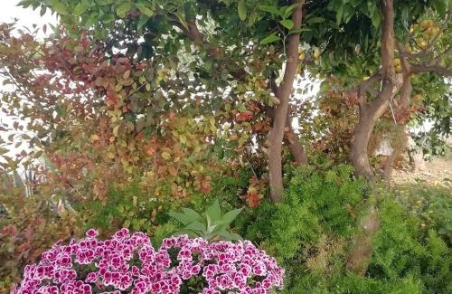 Realmonte Bed & Breakfast | Home Scala dei Turchi B&B