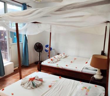 Nungwi House | HOMELAND SWAHILI LODGE Nungwi Backpacker Apartments BUDGET