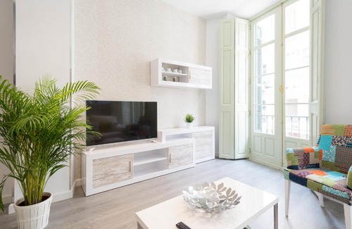 Centro Apartment | Homemalaga Constitución