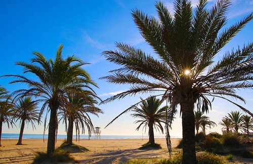 Venecia Apartment | Homerez - Appartement 1 km away from the beach for 4 ppl. with balcony at Gandia