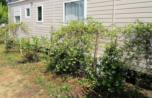 Saint-Julien-en-Born House | Homerez - Nice bungalow 4 km away from the beach for 8 ppl. with shared pool