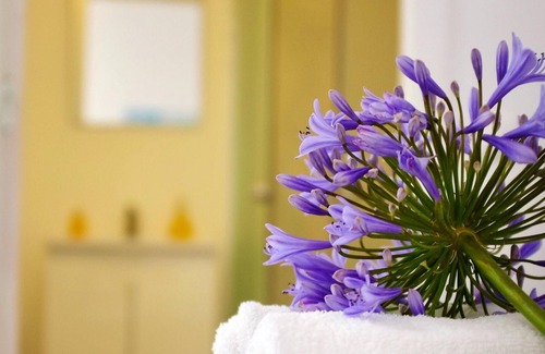 Faro Apartment | Homerez - Studio 6 km away from the beach for 3 ppl. with shared pool at Faro