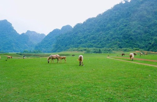 Huu Lung Cabin | Homestay Đồng Lâm