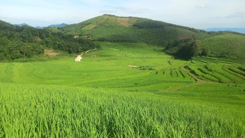 Lac Son Apartment | Homestay Cây Thông