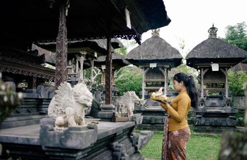Taro House | Homestay D'BANDEM