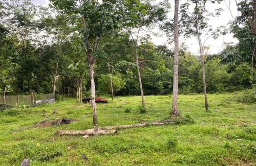 Jeli House | Homestay Kak soh 2 at Kampung Kalai Jeli Kelantan