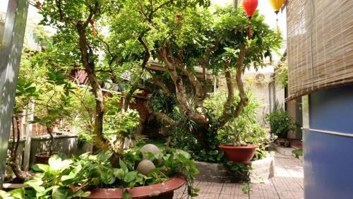 Tay Ninh Hotel | Homestay Mai Ngọc Tây Ninh