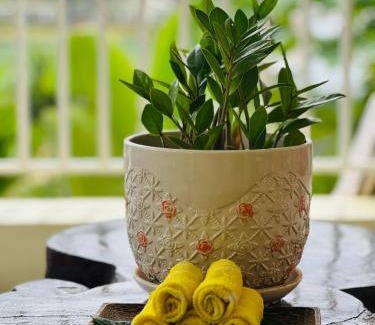 Siem Reap House | Homestay Yellow Natural House