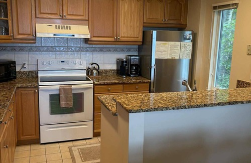 Maple City Condo | Homestead condo, Beautiful View of Lake MI & Manitou Island