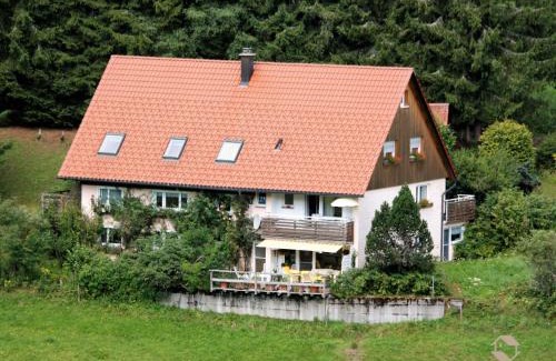 Schoenwald House | Hornihäusle