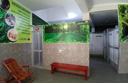 Castillo Grande Hotel | Hostal El Eucalipto Medicinal