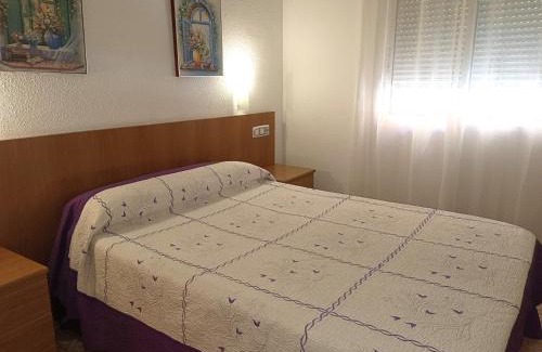 Torrevieja House | Hostal Gran Via Levante