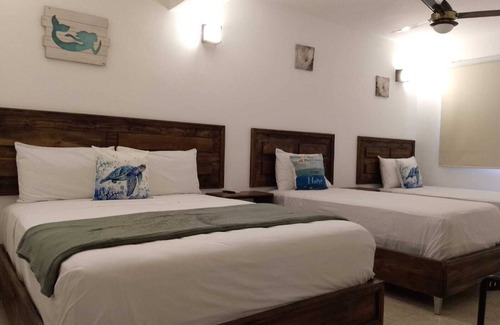 Centro Bed & Breakfast | Hostal Marina Samana
