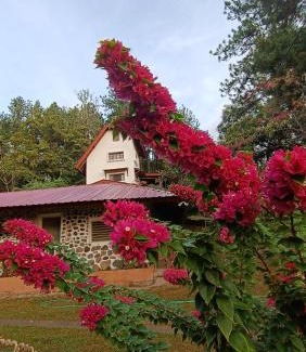 La Laguna Hotel | Hostal Valle chiquito