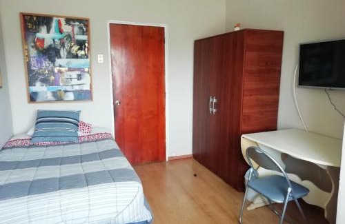 Concepcion House | Hostal Vivo Concepción