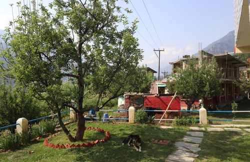 Jagatsukh Hostel | Hostel ∙ 8 guests