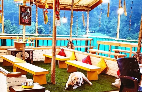 Old Manali Hostel | Hostel ∙ 8 guests