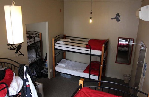 Dunedin City Centre Hostel | Hostel ∙ 8 guests