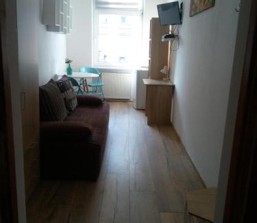 West Pomeranian Voivodeship Apartment | Hostel Tulip - Pokój 2 ze wspólną łazienką i kuchnią