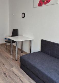 West Pomeranian Voivodeship Apartment | Hostel Tulip - pokój jednoosobowy nr 1 ze wspólną łazienką i kuchnią