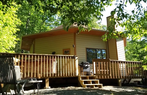 Owl Town Retreat Cabin | Hot Tub, Mtn View, High Speed WIFI- close to town yet away from it all !