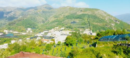Pucara House | Hotel affittacamere novella