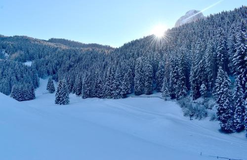 Selva di Val Gardena Hotel | Hotel Belaval