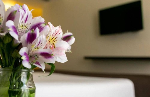 El Centro Hotel | Hotel ∙ Buenos Aires Spacious 1BR Condo Near Palacio San Martin
