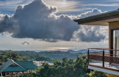 Santa Elena Hotel | Hotel Ficus - Monteverde