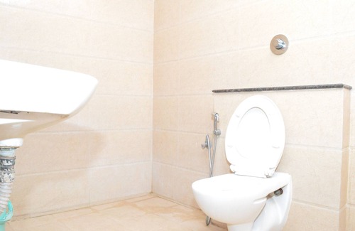 Raipur Hotel | Hotel Green Tree