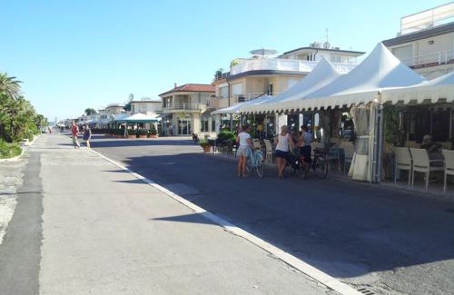 Viareggio Hotel | Hotel kim