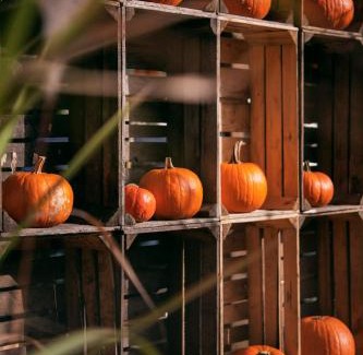 Brenna Hotel | Hotel Kotarz Spa&Wellness