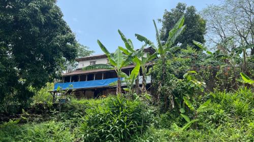 Lekhnath Hotel | Hotel Lekhnath View Tower and Eco Farm