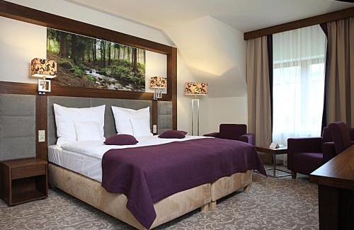 Krynica-Zdroj Hotel | Hotel Mercure Krynica Zdrój Resort&Spa