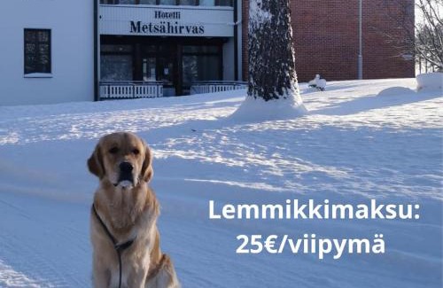 Rovaniemi Hotel | Hotel Metsähirvas