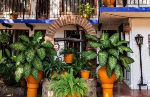 Acapulco Hotel | Hotel Mision y Spa Acapulco