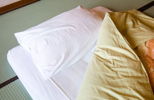 Hakone House | Hotel Musashiya