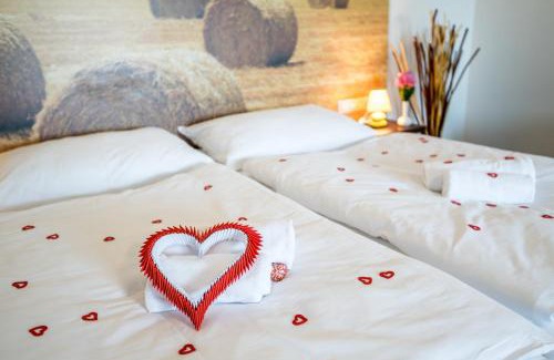 Chotovice Hotel | Hotel Na Farmě Choťovice