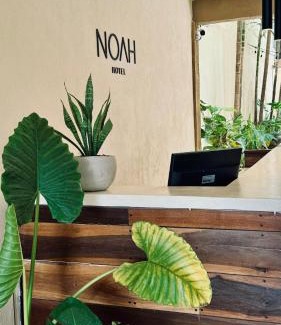 Tulum City Center Hotel | Hotel Noah Tulum