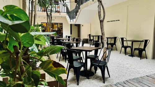 Tulum City Center Hotel | Hotel Noah Tulum