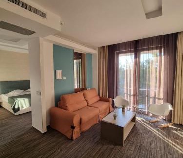 Constanta Hotel | Hotel On Plonge Junior