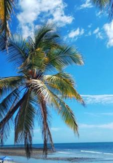 El Palmar Cabin | Hotel Palmar Surf Camp & School