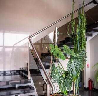 Piniava Hotel | Hotel Pas Katina